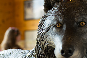 photo of wolf statue