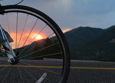 bike wheel in Yellowstone National Park